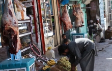 fot. Roman Husarski fot. Roman Husarski