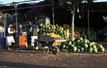 fot. Roman Husarski fot. Roman Husarski