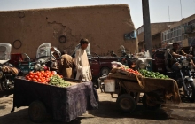 fot. Roman Husarski fot. Roman Husarski