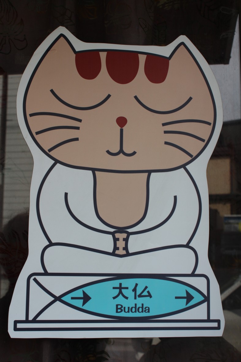 kotobudda fot. Roman Husarski