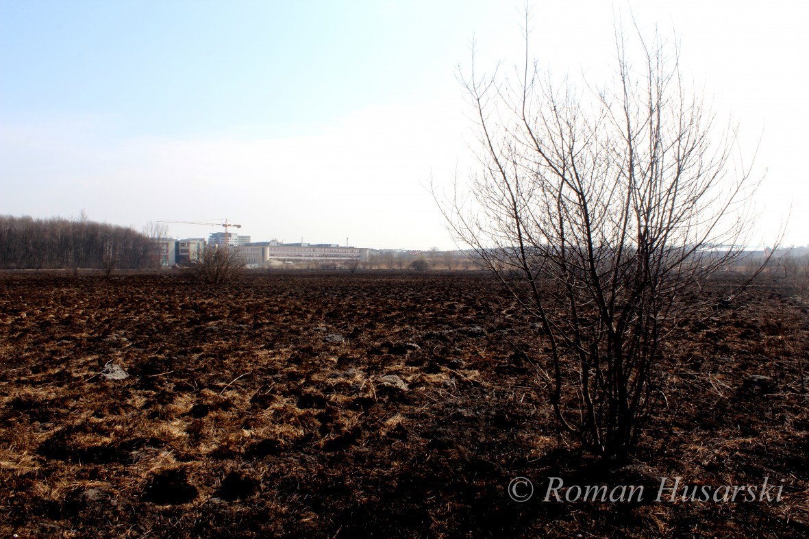 fot. Roman Husarski