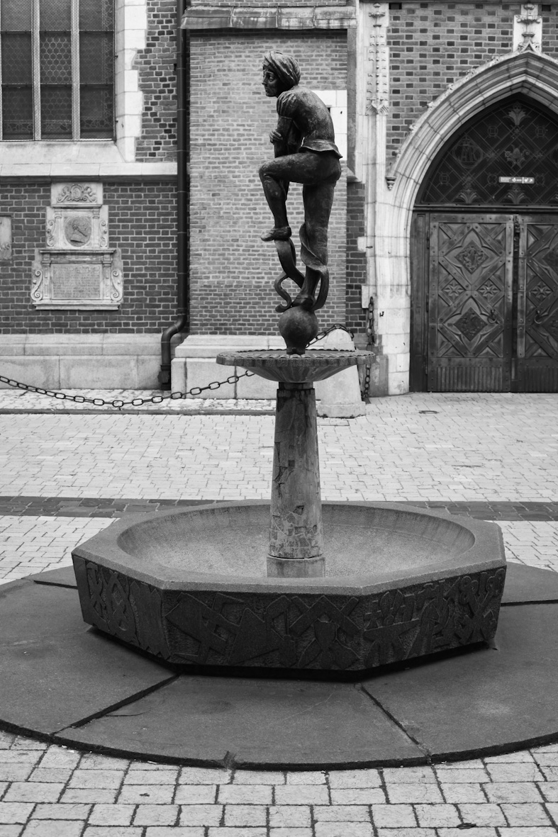 Fot. Roman Husarski Fot. Roman Husarski