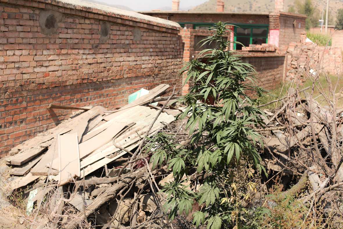 Fot. Roman Husarski