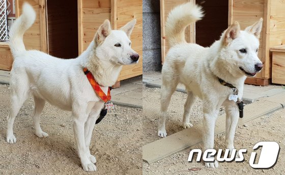Parka podarowana przez Kim Dzong Una w 2018 roku
