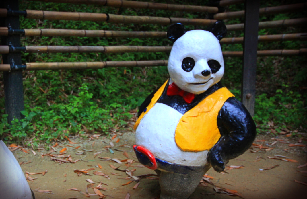 Damyang. W bambusowym lesie z upiornymi pandami